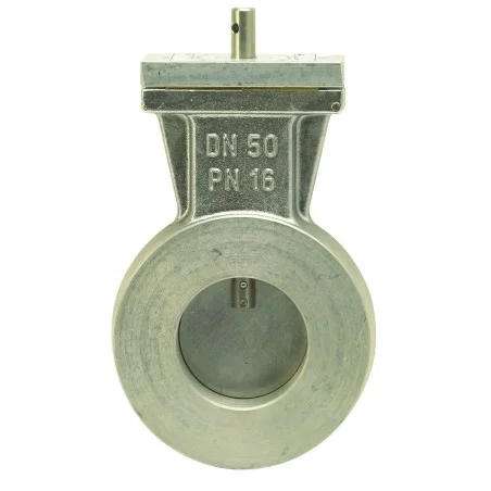 Vanne papillon nue DN50