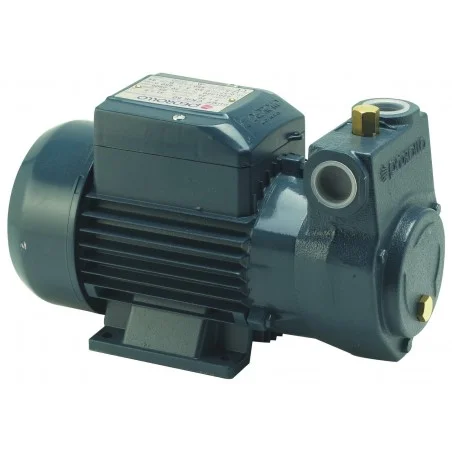 Pompe de transfert fioul CKM 50