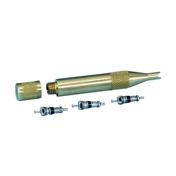 Tournevis démonte-vanne