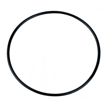 Joint de pompe RIELLO