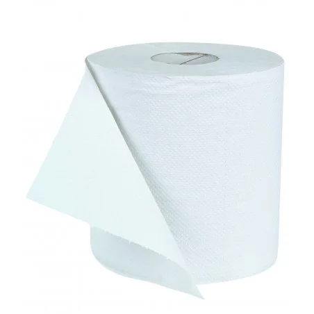 Bobine essuyage 20x30 2plis 450 feuilles