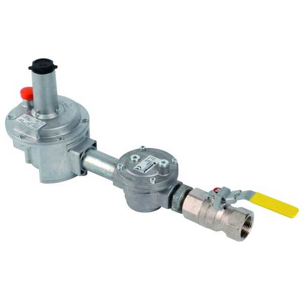Kit détente gaz 1\' P.max : 500 mbar