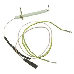 Electrode ionisation Beretta 2255