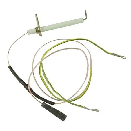 Electrode ionisation Beretta 2255