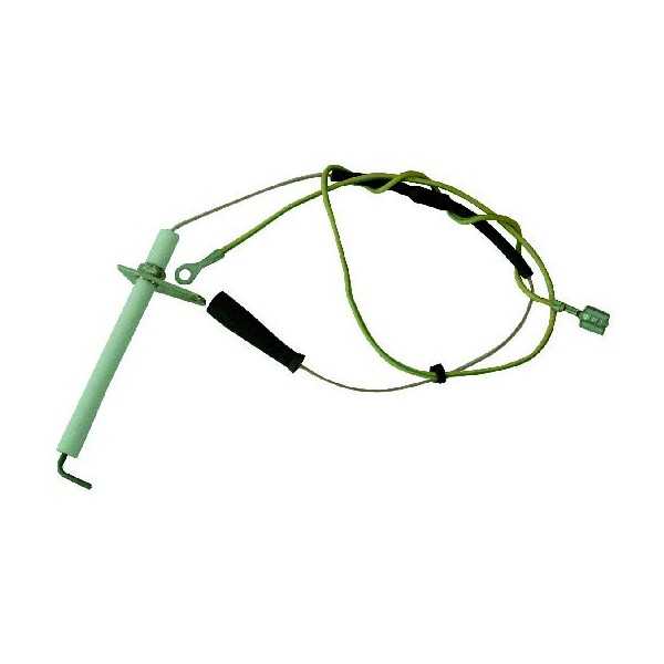 Electrode ionisation Beretta