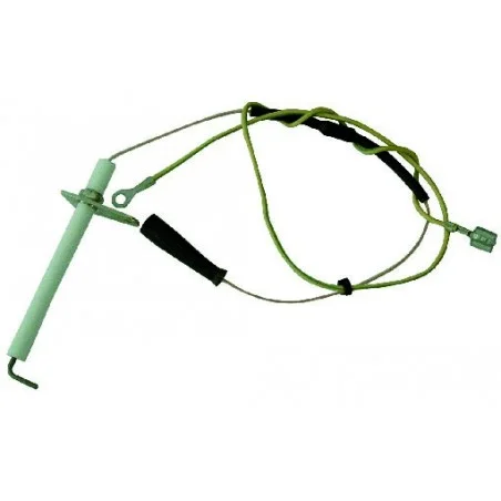 Electrode ionisation Beretta