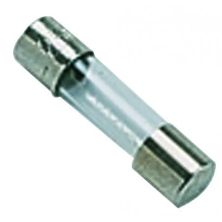 Lot 10 fusibles 1A celtic Chaffoteaux 60041557