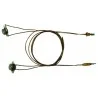 Thermocouple 2 thermostats Cointra 6058