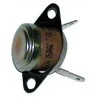 Thermostat sécurité NC 145°C Cointra 8095