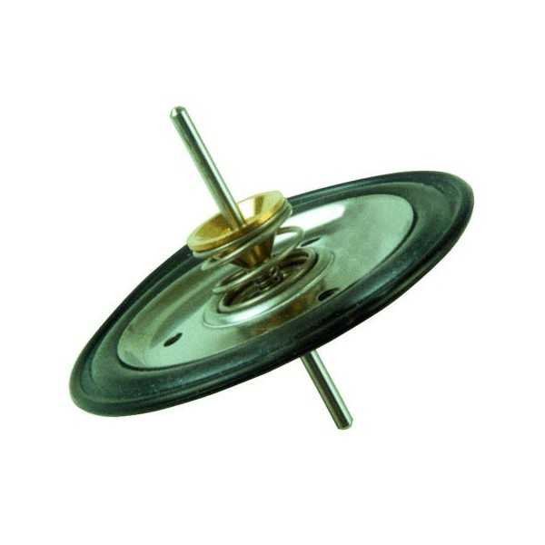 Membrane M20 Cointra