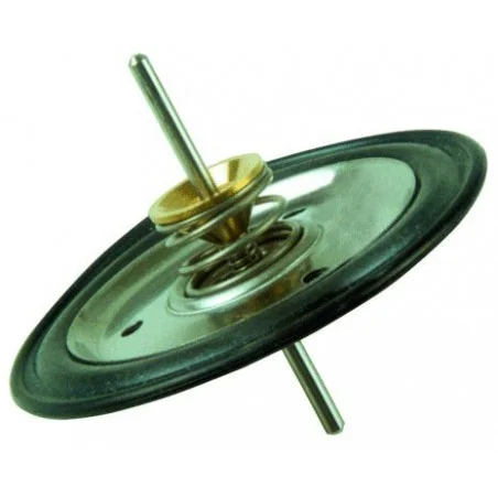 Membrane M20 Cointra