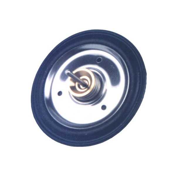 Membrane M15LP, M15L Cointra