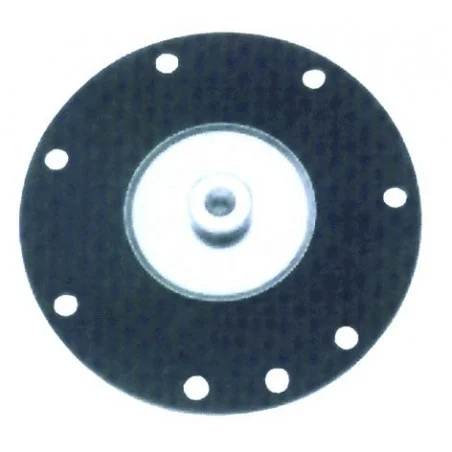 Membrane ELM Leblanc 87167037530