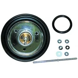 Membrane ecoplus Fagor MU1033600