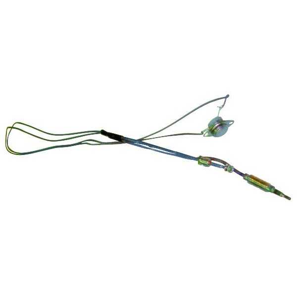 Thermocouple métrique 96 L.71mm Fagor 810005864