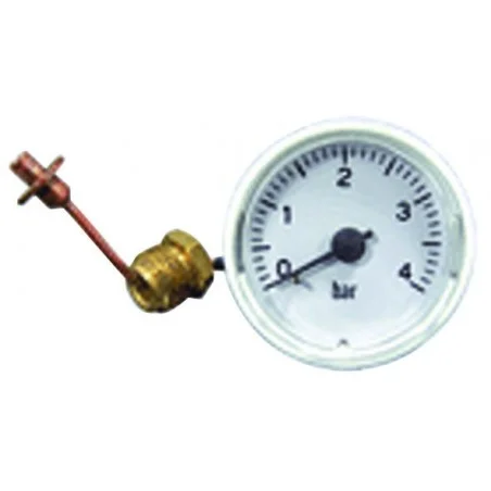 Manomètre analogique 0-4bar Ferroli 39806330