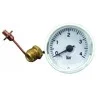 Manomètre analogique 0-4bar Ferroli 39806330