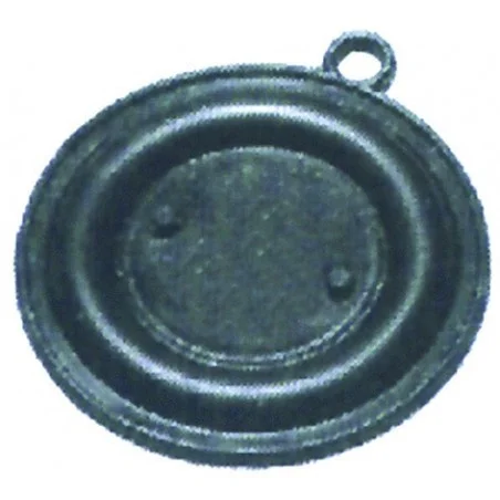 Membrane Saunier Duval 54044