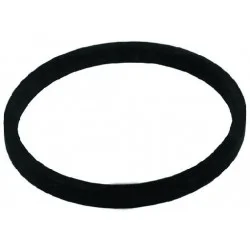 Joint thermoplongeur 110mm Fleck