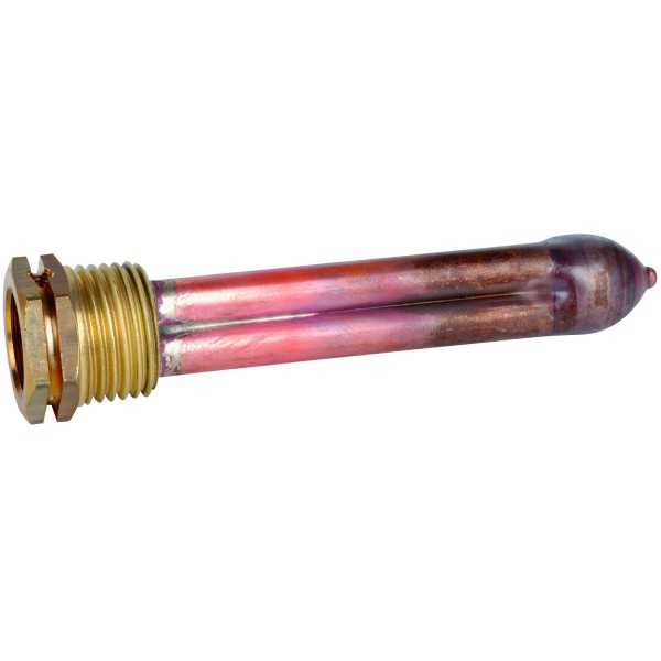 Doigt de gant(aquastat 3bulbes)