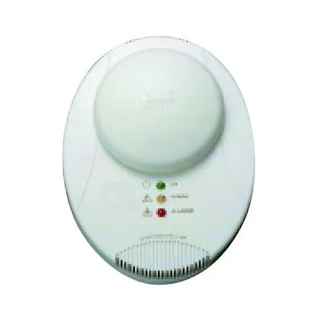 Détecteur gaz Gaz Naturel RG100