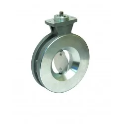 Vanne papillon VF9 DN 100