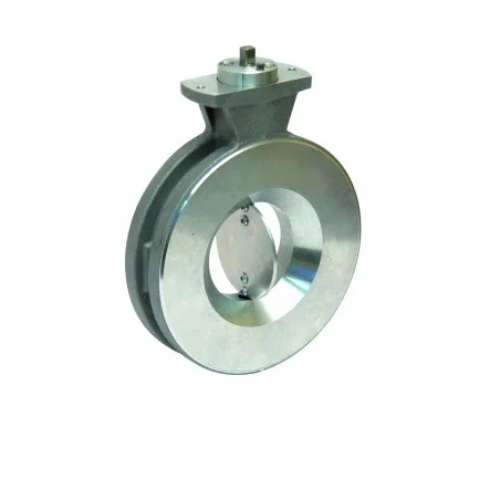 Vanne papillon VF9 DN 100