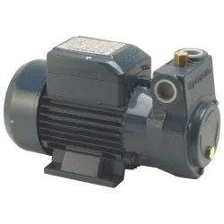 Pompe de transfert fioul PKM 60