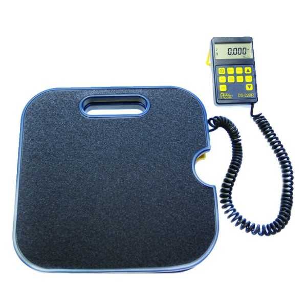 Balance électronique haute précision Ds-220