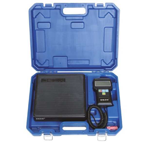 Saldo elettronico 100 kg con valigetta