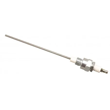 Electrode à vis 2 EN 200 BSP G1/4 LG 200 mm
