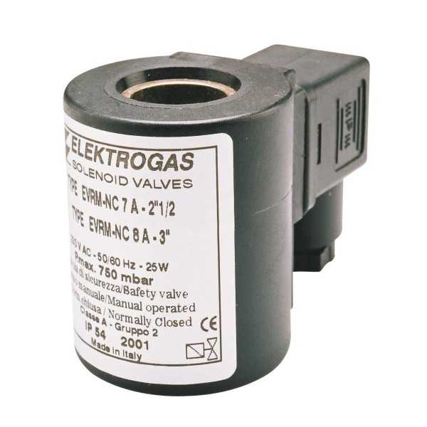 Coil 1930 3120 ATEX EVRMNCA da 2 'a 3'