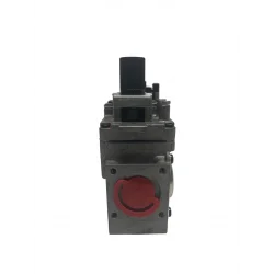 Bloque de válvula de gas EleTrosit 0810174
