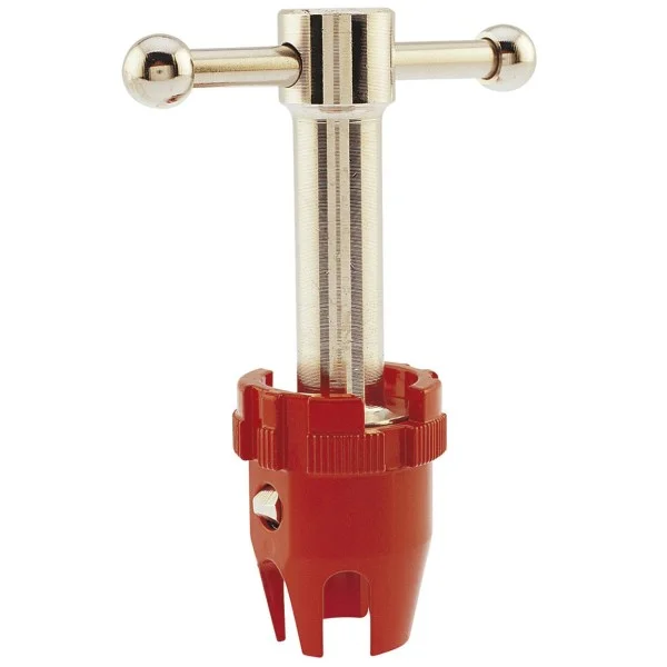 Cle a bonde avec Tête - 261620