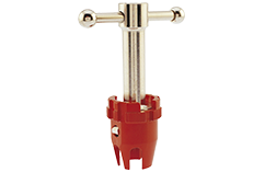 Pietra miliare con la testa